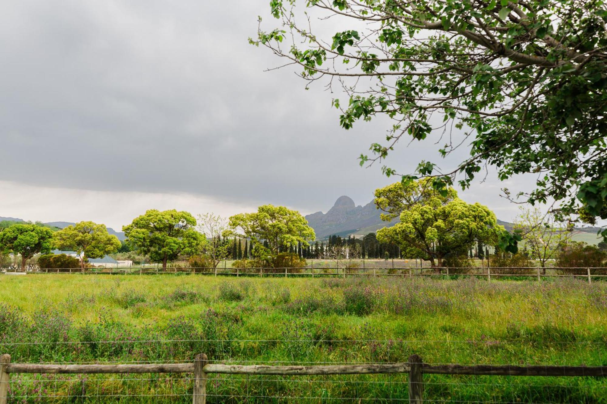 Marshden Estate Bed and Breakfast Stellenbosch Eksteriør billede