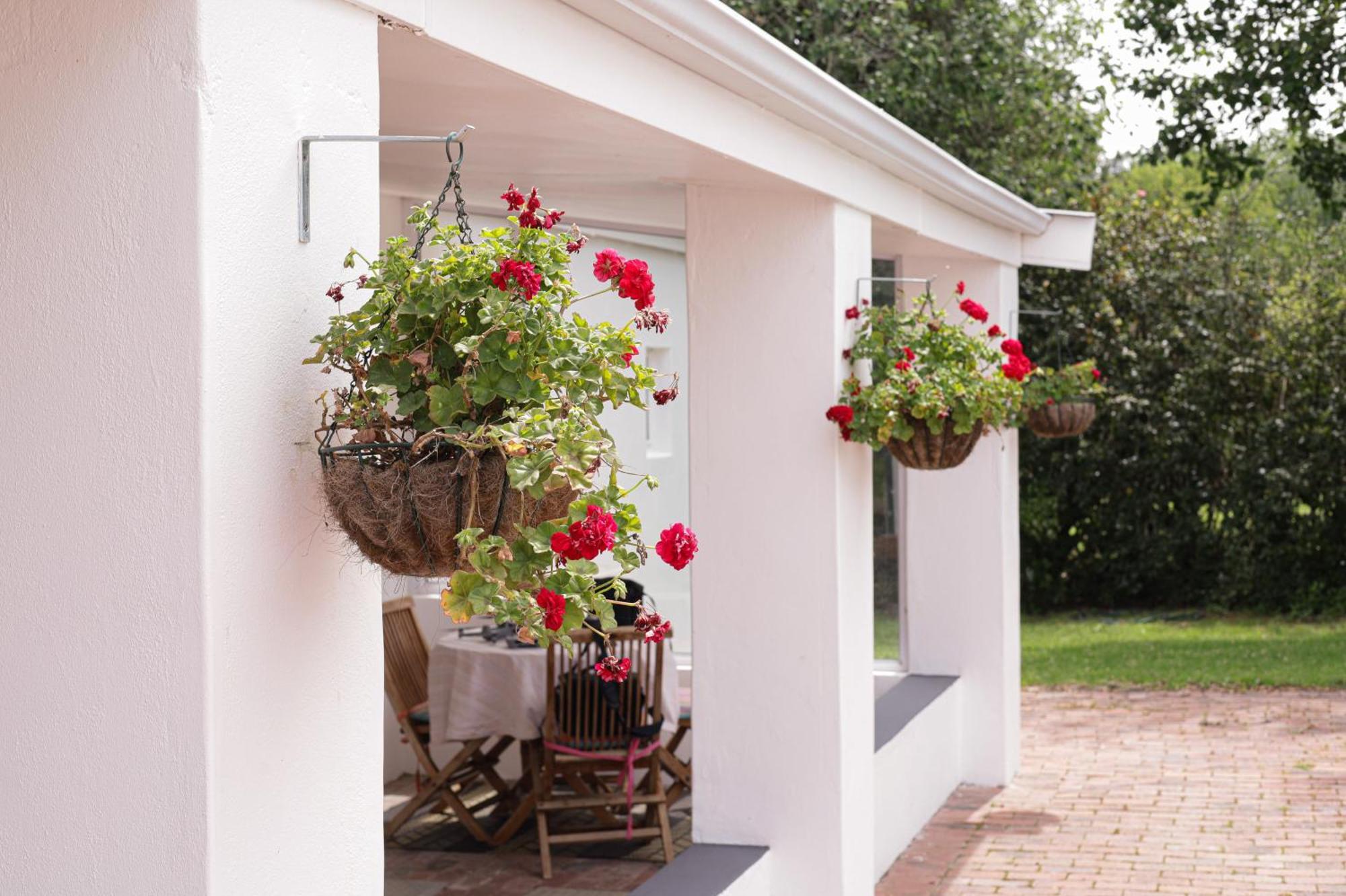 Marshden Estate Bed and Breakfast Stellenbosch Eksteriør billede